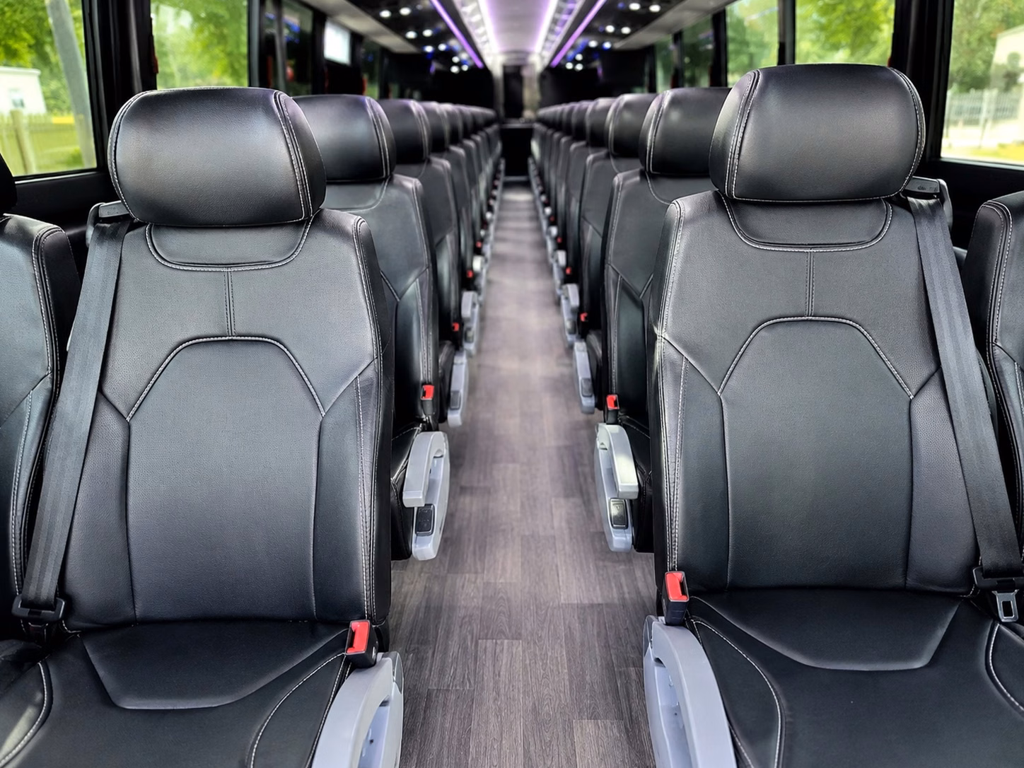 compare group transportation in southaven in one search